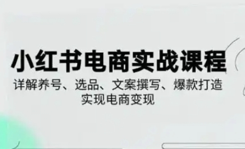 小红书从0-1实操课(2023-2025),详解养号、选品、文案撰写、爆款打造实现电商变现-4503资源库