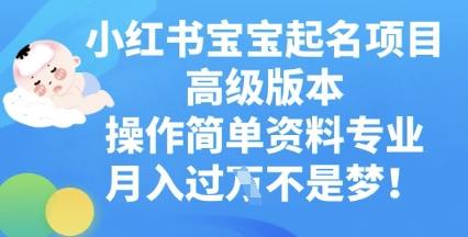 小红书宝宝起名项目高级版本,操作简单,资料专业,月入过W-4503资源库