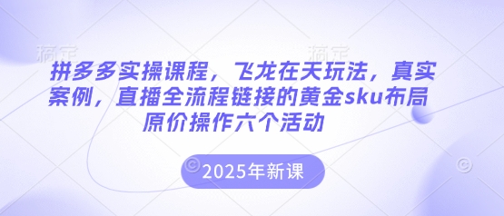 拼多多实操课程,飞龙在天玩法,真实案例,直播全流程链接的黄金sku布局原价操作六个活动-4503资源库
