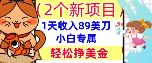 2个新项目,轻松挣美金, 1天收入89美刀,小白专属,干货分享-4503资源库