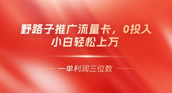 0门槛推广流量卡,一单收益上百,0投入,小白月入过W-4503资源库