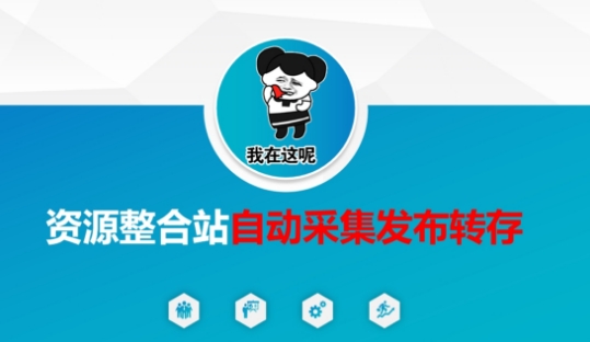 资源整合站自动采集发布转存,解放双手-4503资源库