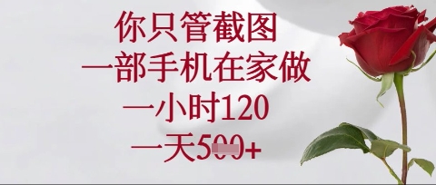 你只管截图,一部手机在家操作,一小时120.一天5张【揭秘】-4503资源库